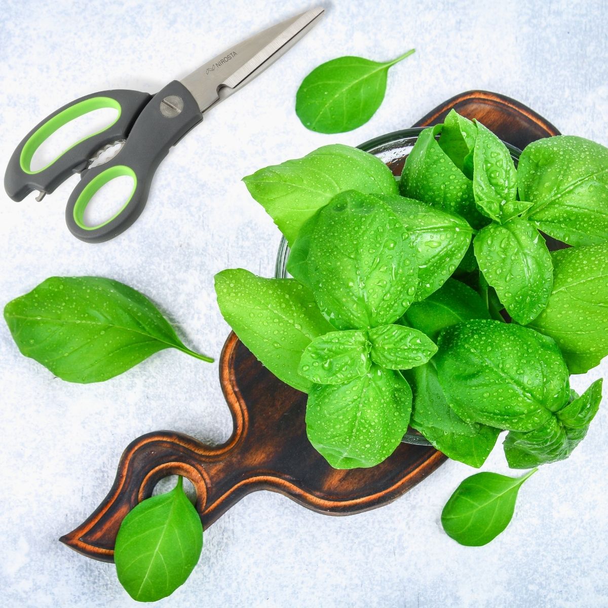 Ensemble de 2 Ciseaux de cuisine Nirosta Praktika