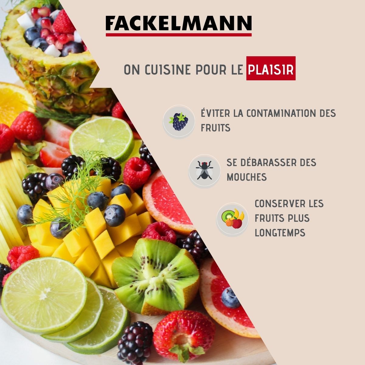 Piège à mouches Fackelmann Tecno