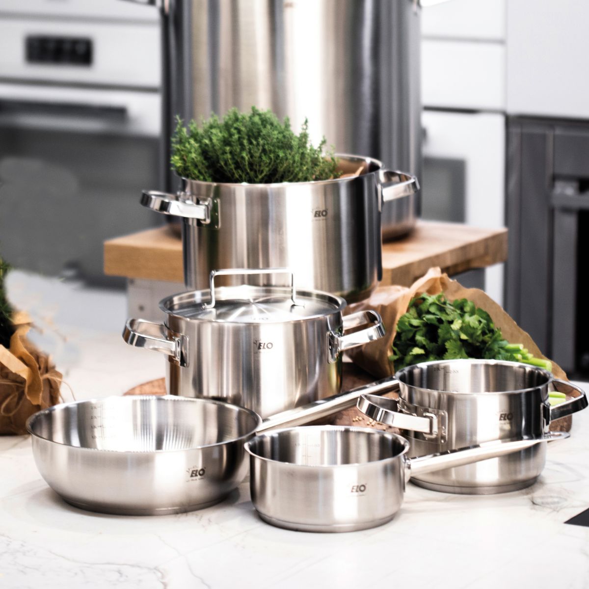 Casserole en inox 20 cm de 2,2 litres Elo Profi Cuisine