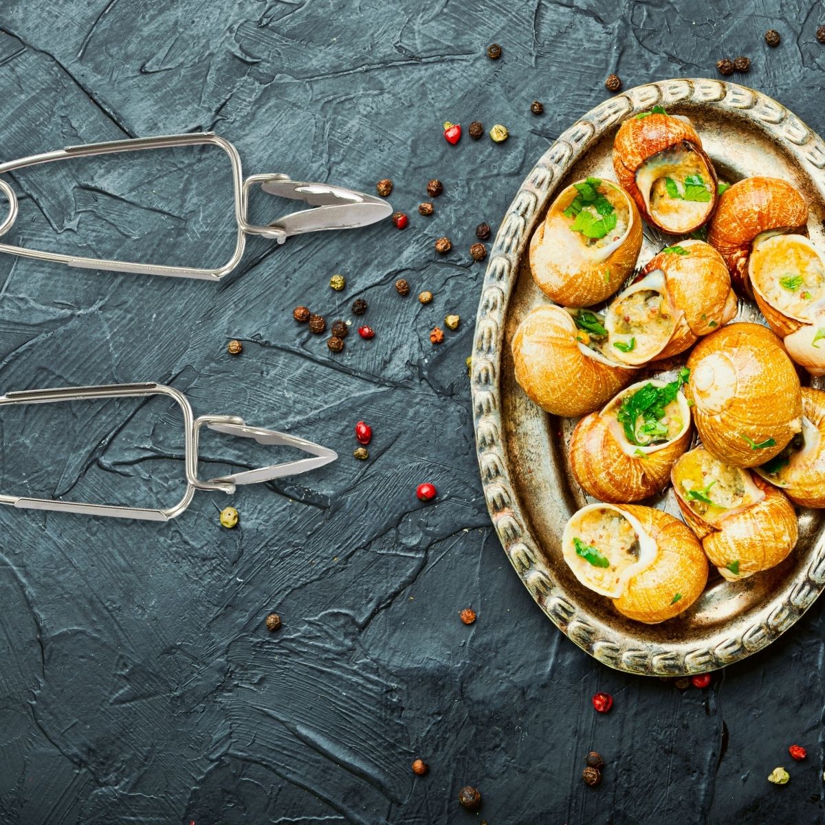 Lot de 2 pinces à escargots Fackelmann