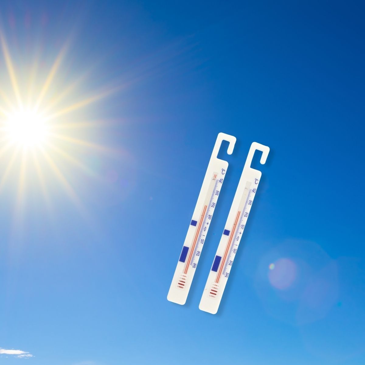 Lot de 4 thermomètres réfrigérateur FM Professional