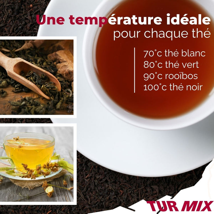 Théière bouilloire électrique 2 en 1 Turmix