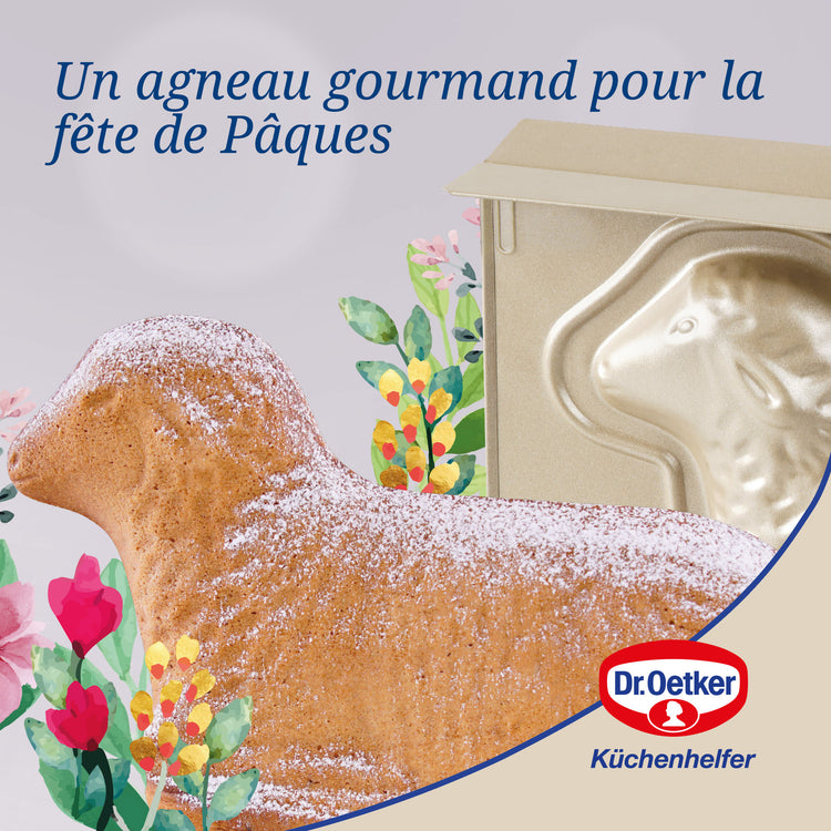 Moule à gâteaux agneau pascal Dr Oetker