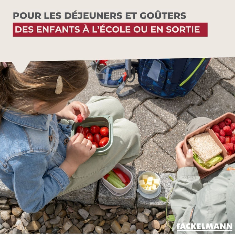 Lot de 12 boîtes à snacks pliables avec 3 boîtes à sauce Fackelmann Storage
