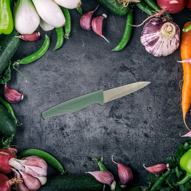 Ensemble de 6 couteaux de cuisine manche végétal Nirosta Eco Green