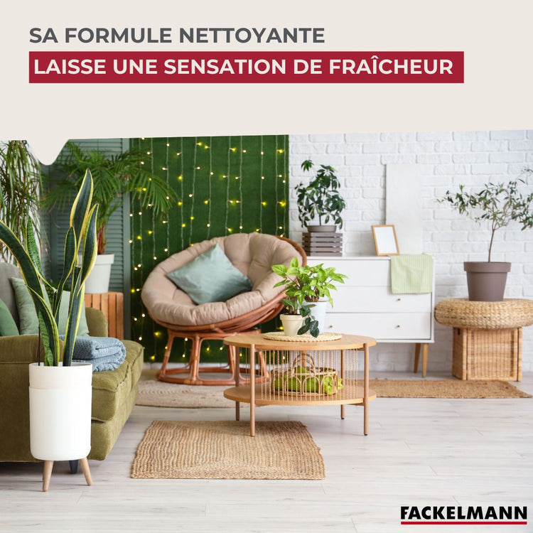Solution nettoyante pour Aspirateurs Laveurs Robots et Balais Fackelmann