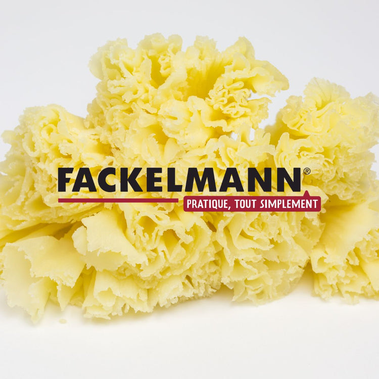 Ensemble de 2 Girolles à fromage 22 cm Fackelmann Boissellerie