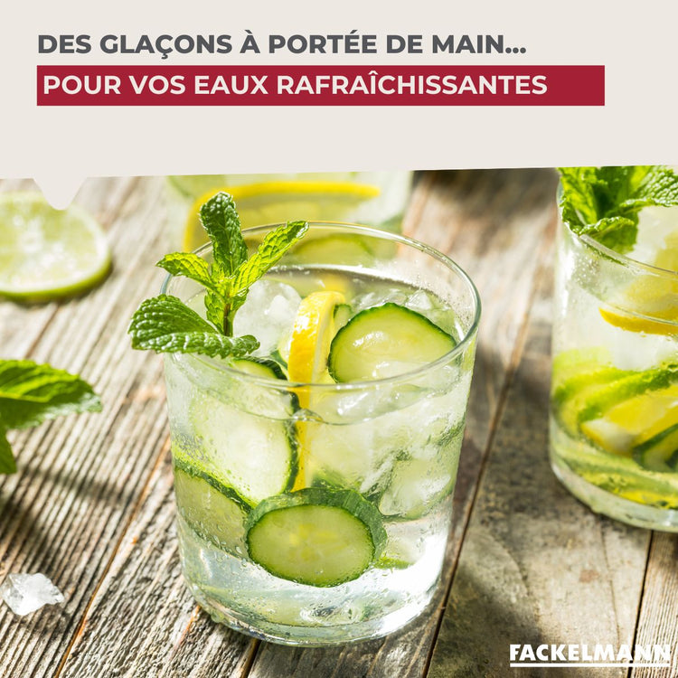 Lot de 2 Bac à glaçons 14 glaçons Fackelmann Bar Concept