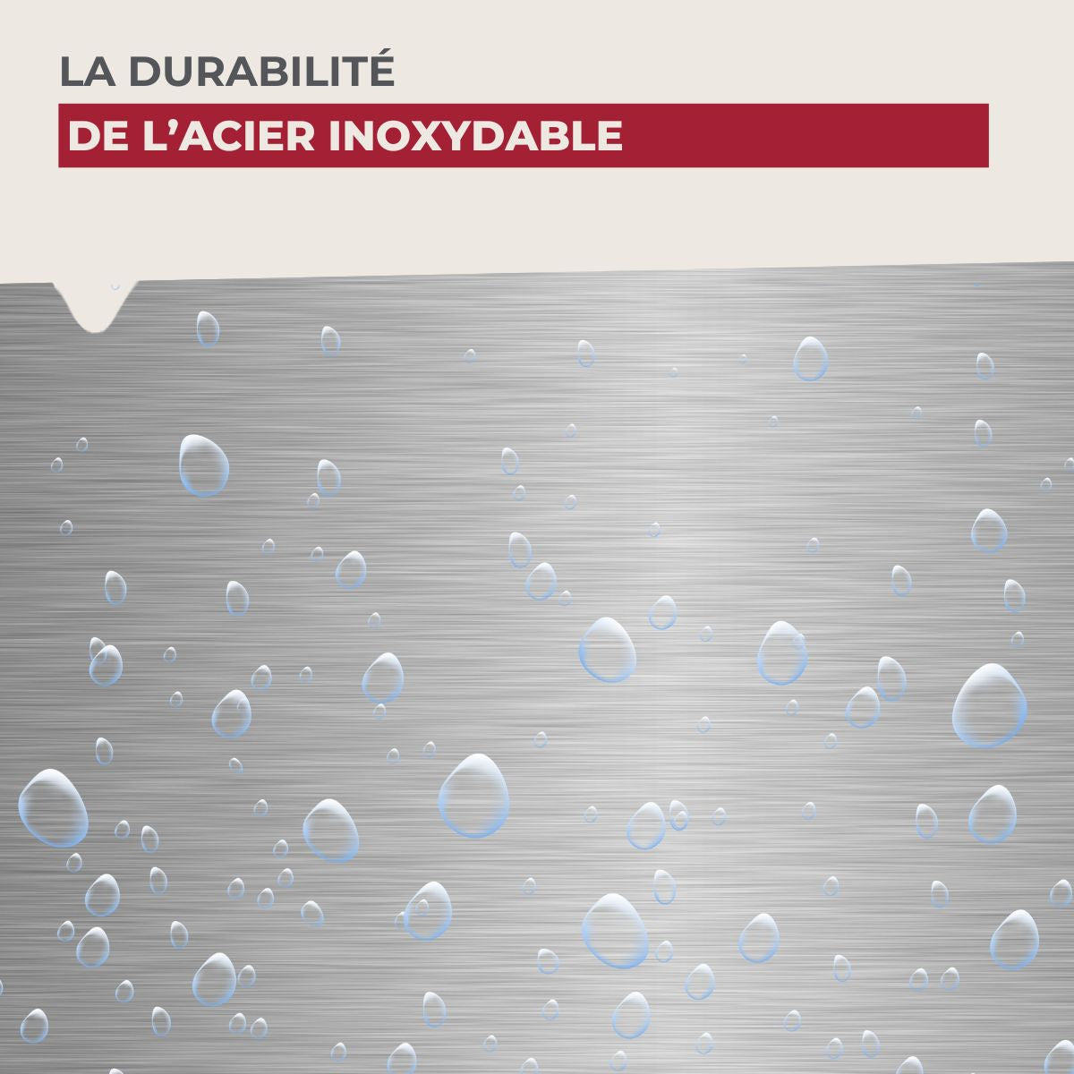 Couteau de cuisine universel 24 cm en tout Nirosta Star