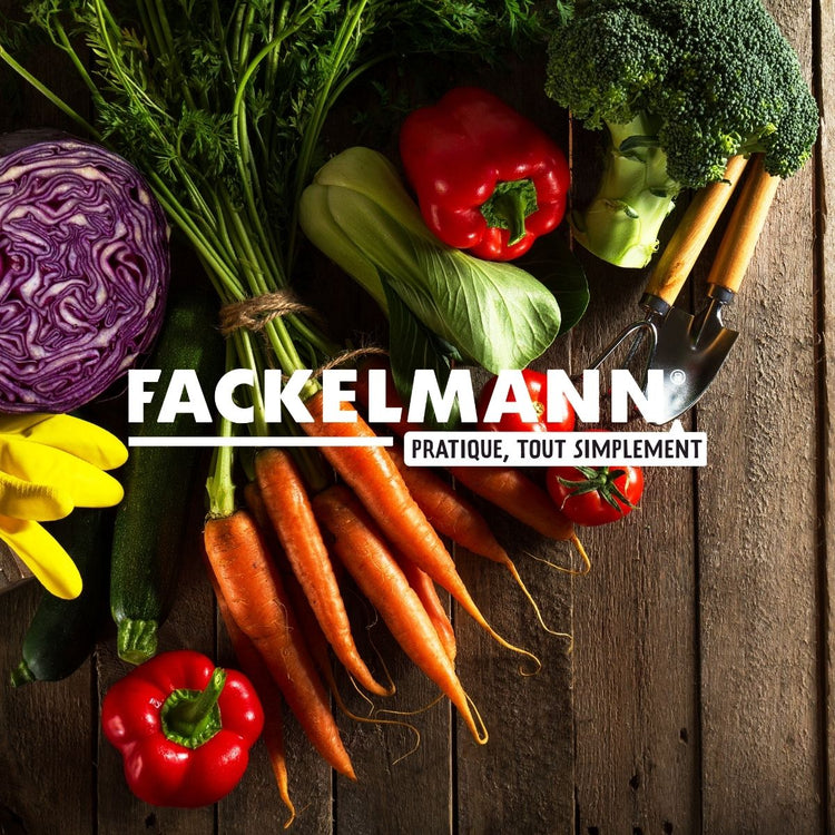 Cuillère à glace avec fonction éjection Fackelmann Summer party