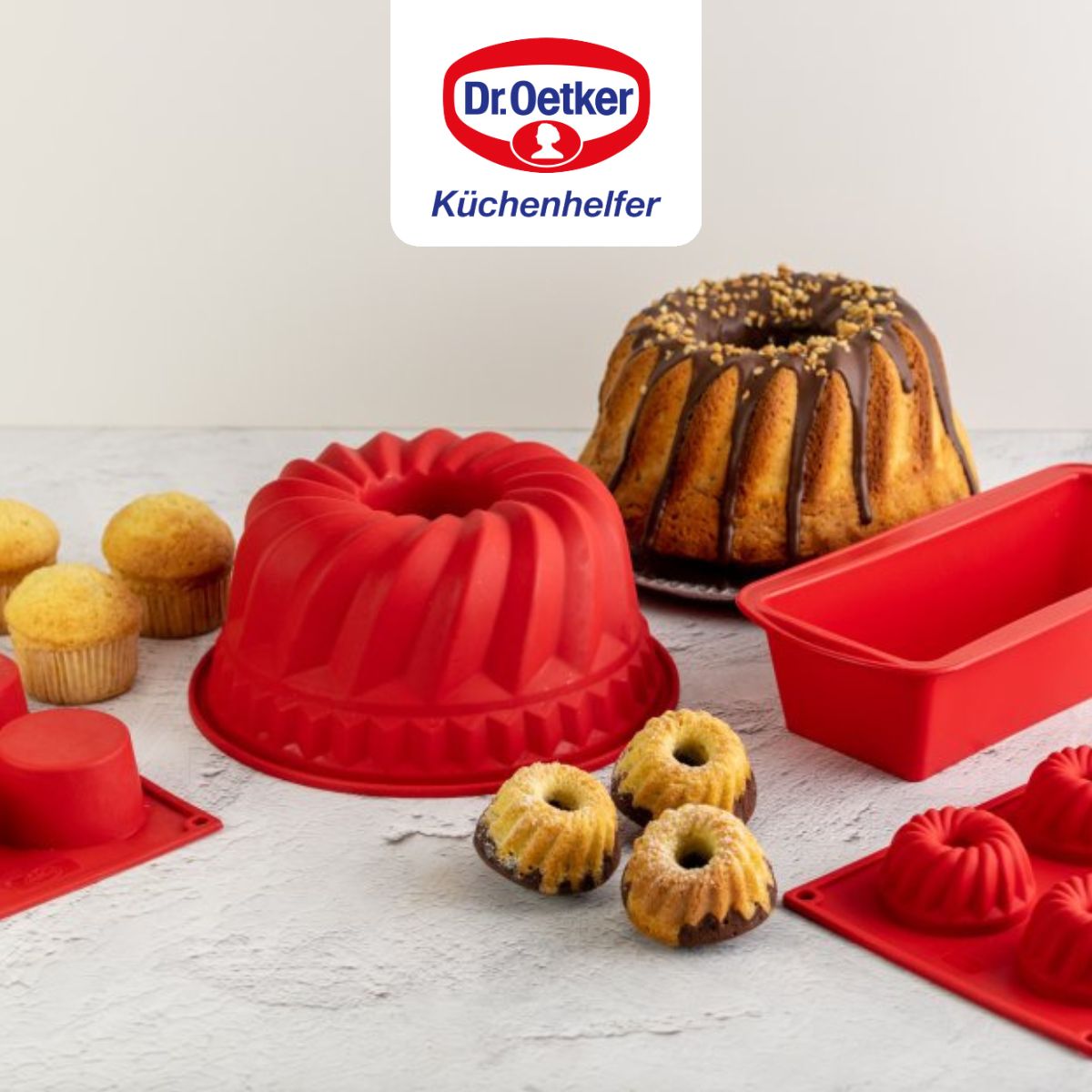 Moule silicone 6 mini Kougelhopfs Dr Oetker Silicone