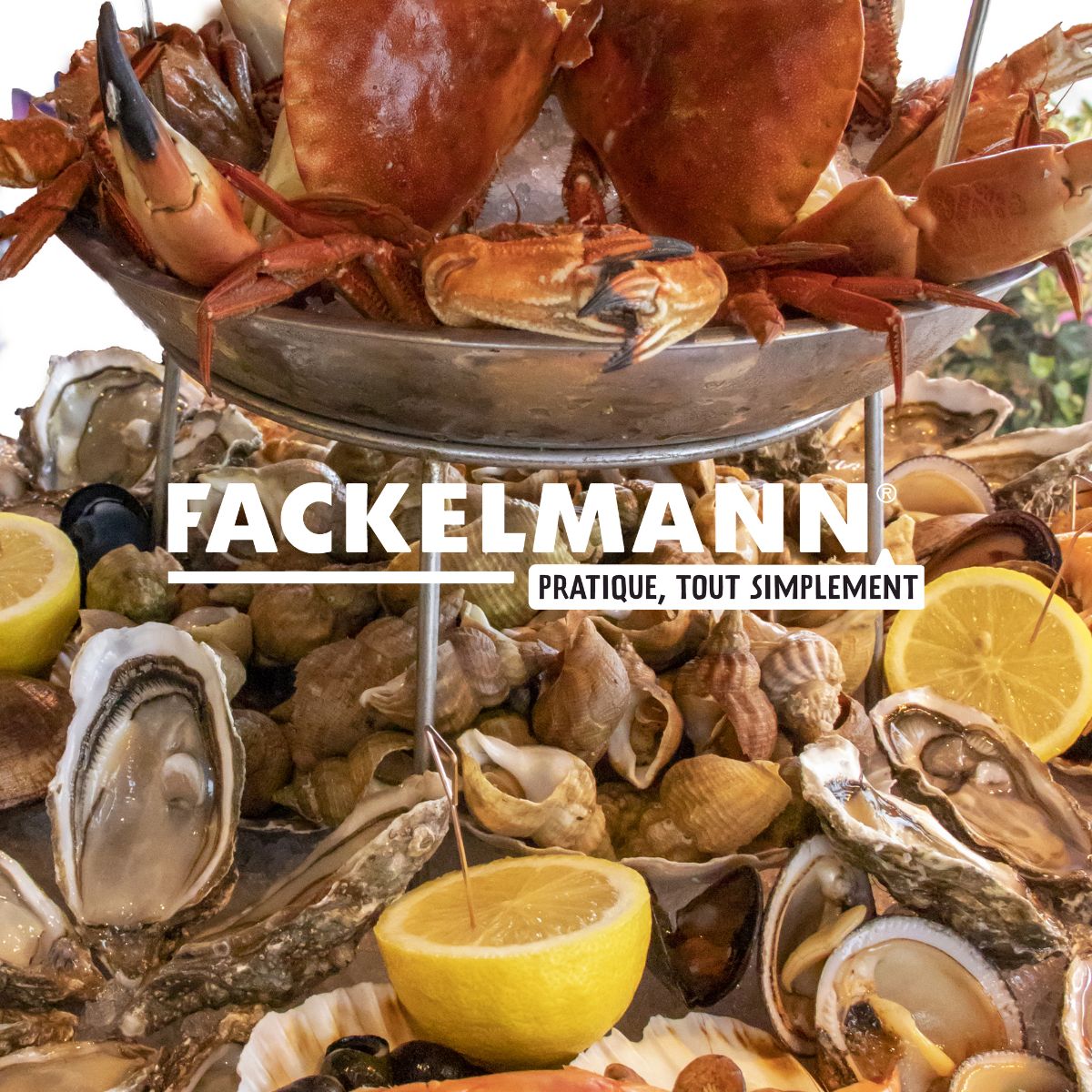 Lot de 6 pics à bigorneaux Fackelmann