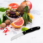 Ensemble de 4 couteaux de cuisine 20, 22, 26 et 31 cm Nirosta Fit