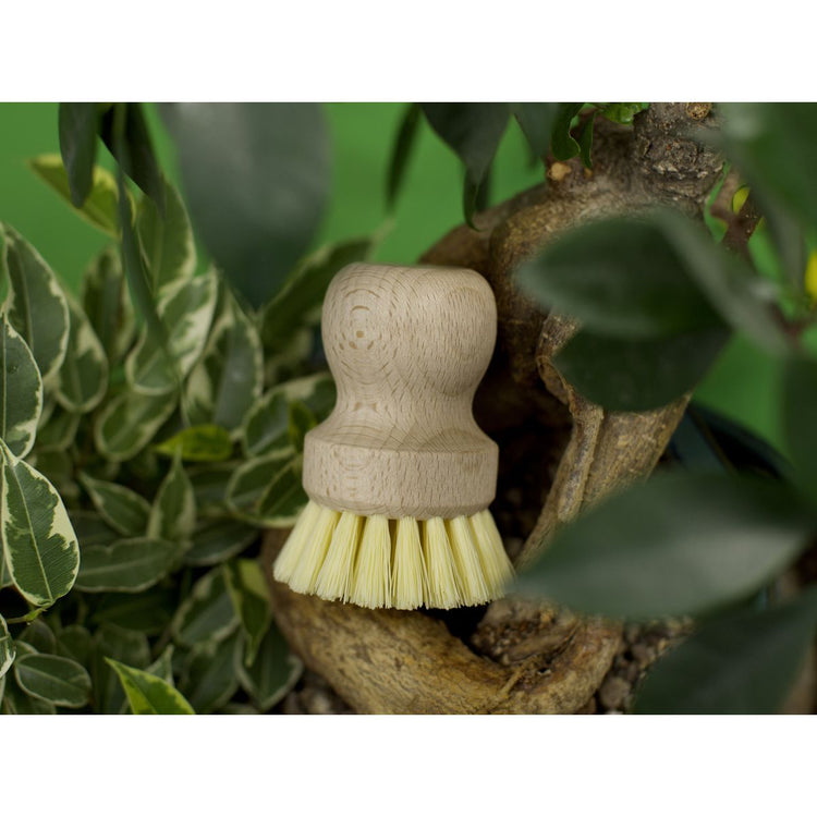 Brosse à vaisselle en bois écologique Fackelmann Eco Friendly