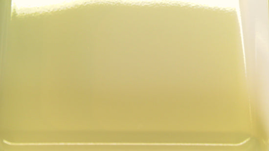 Mini mandoline professionnelle Fackelmann Handmade Tradition