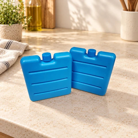 Lot de 2 pains de glace pour glacière et lunch bag Fackelmann