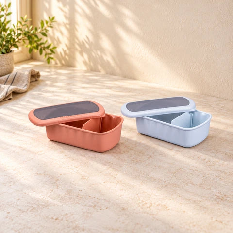 Lot de 2 lunch box compartiment avec 2 ustensiles de cuisine Fackelmann Storage